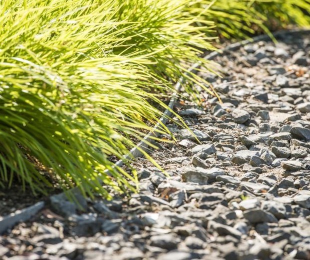ecolat rol 25 m x 14 cm Tuinafboording