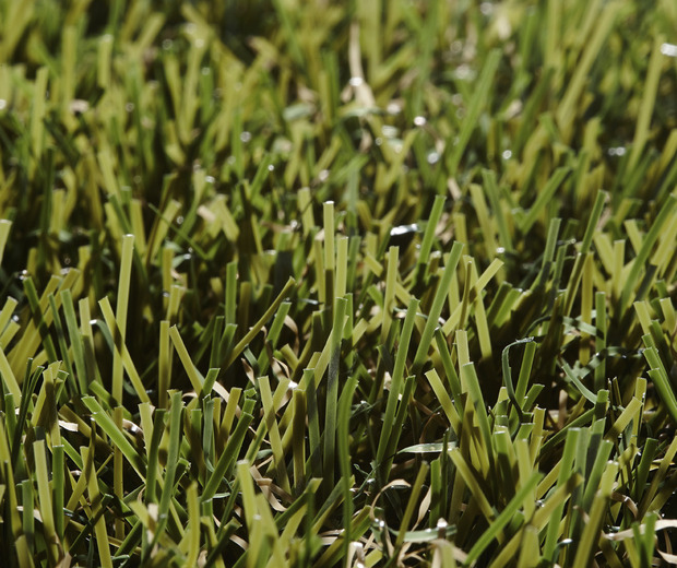 kunstgras botanic Kunstgras