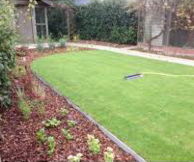 wirtz borduur 100 x 20 x 1cm Tuinafboording