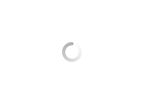 stapsteen-leisteen